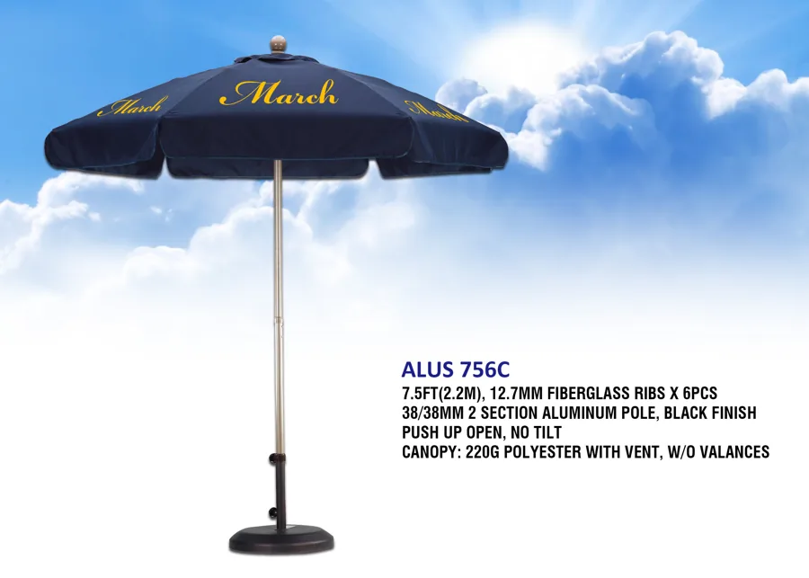ALUS 756C Flyer