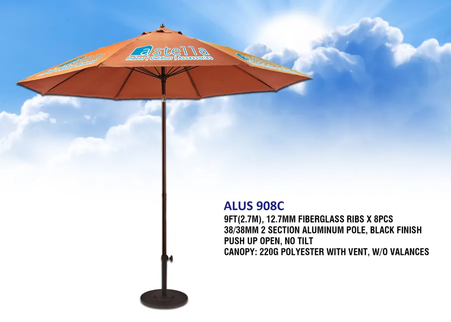ALUS 908C Flyer