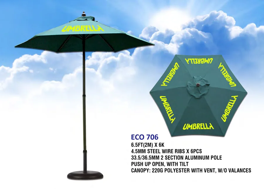 ECO 706 Flyer