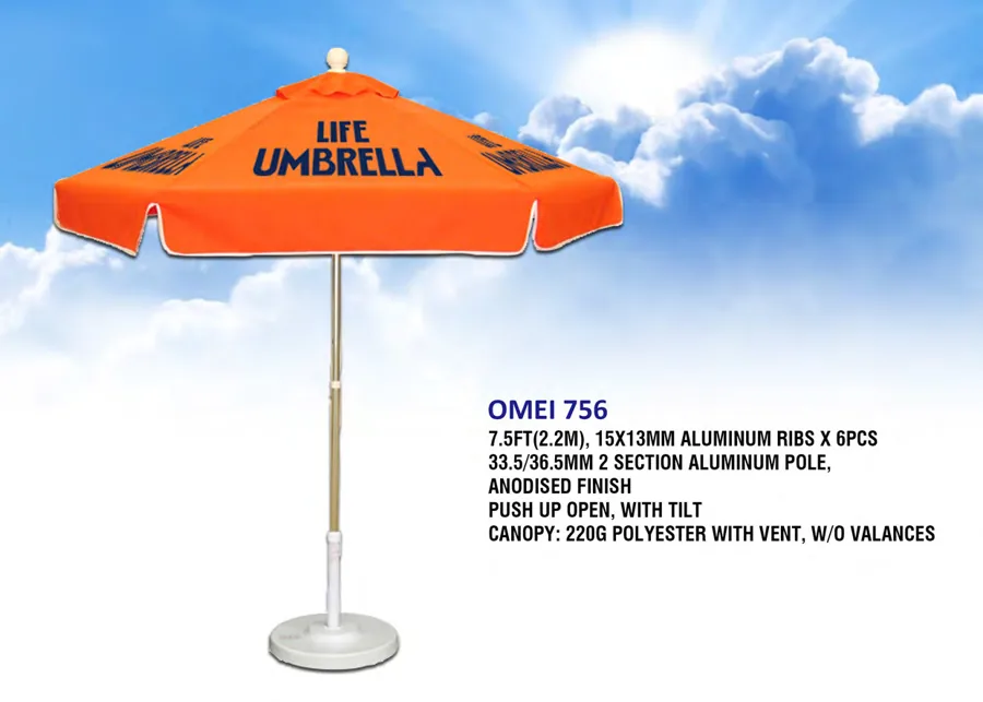 OMEI 756 Flyer