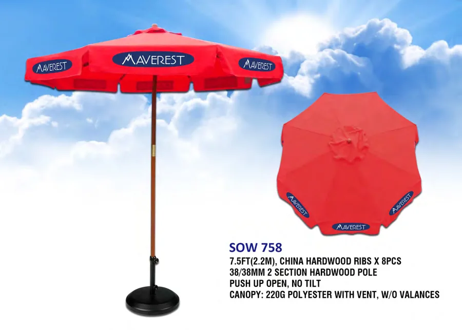 SOW 758 Flyer