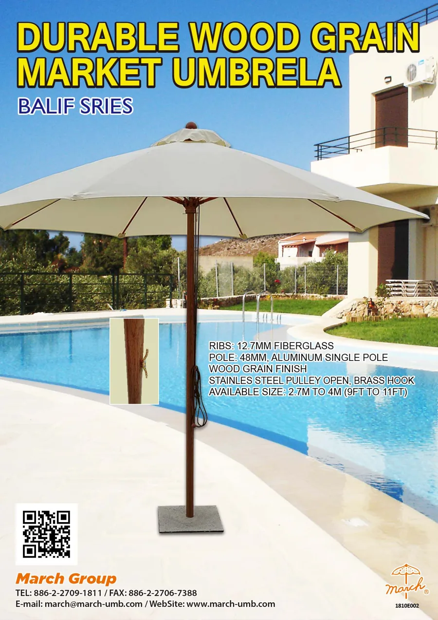 BALIF Flyer