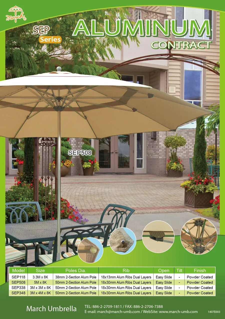 SEP Flyer
