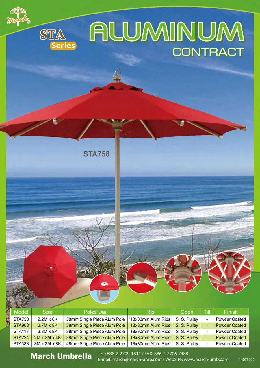 STA Flyer